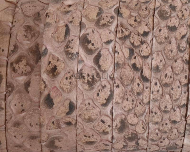 Piel de serpiente Piton. Tira doblada. Plano. 9x1,5mm. Salmon.