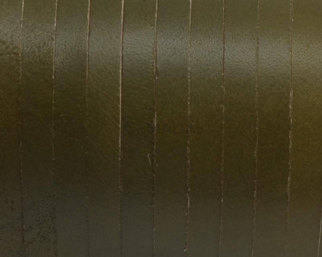 Cuero Plano 5x1,5mm. Verde pistacho. Calidad Superior