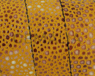 Cuero plano. Pez raya. 20x2,5mm. Amarillo. Calidad superior