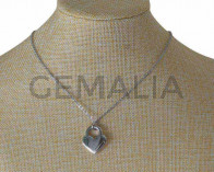 Collar de Acero inoxidable 304 con cadena. Corazon 21,5x25mm. Plateado.19,5 Inch