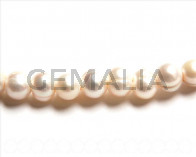 Perlas cultivadas. Round 10-11mm. blanco. Int.2mm aprox.