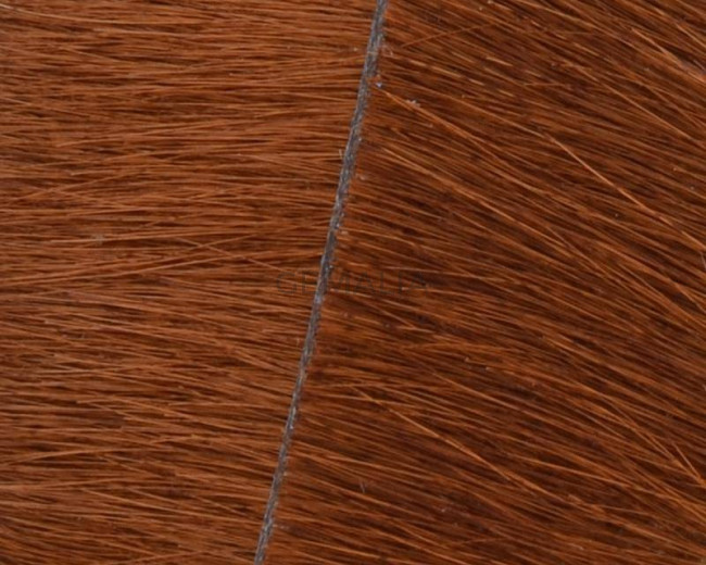 Colored cow hair Flat leather cord. 20mm. brown. Best Quality.