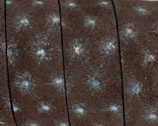 Flat Leather cord/Crystal. 20x2.5mm. Dark brown-silver.Best Quality.