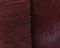 Colored cow hair Flat leather cord. 20mmgar.-dark.Best Quality.