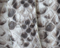 Python skin Leather cord. Flat. 25x2.5mm. White-black.