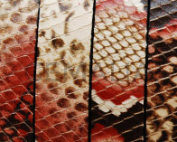 Imitation Snake skin. Flat. 15x2.5mm. Red.