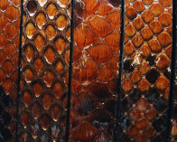 Python skin Leather cord. Flat. 15x2.5mm. Light brown.