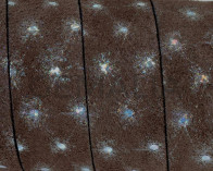 Flat Leather cord/Crystal. 20x2.5mm. Dark brown-silver.Best Quality.