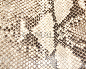 Python Skin. 18x23cm. White-black.